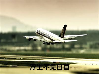 独家浮生不见白首小说小说大结局（萧淮宴沈画倾）全篇在线下载阅读