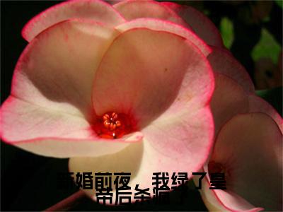 热门章节_笔趣阁（新婚前夜，我绿了皇帝后杀疯了）新婚前夜，我绿了皇帝后杀疯了小说(叶零榆裴陵游)章节在线阅读