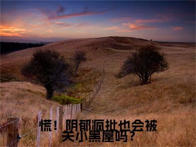 沐锦小说(慌！阴郁疯批也会被关小黑屋吗？)序章+全章阅读（沐锦）最新章节