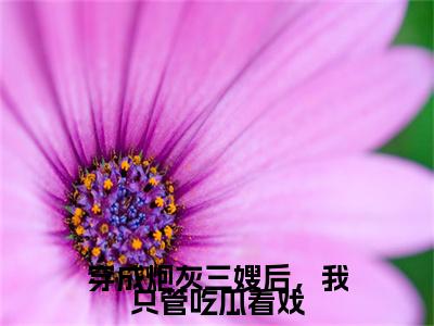 宋锦徐明礼后续（穿成炮灰三嫂后，我只管吃瓜看戏）全文在线下载在线+纯净版结局
