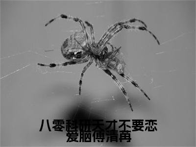 八零科研天才不要恋爱脑傅清苒 沈时聿傅清苒：+后续热血十足+延伸+完本（八零科研天才不要恋爱脑傅清苒）畅享在线阅读