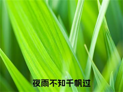 终章小说林蔓瑶顾铭泽夜雨不知千帆过小说(林蔓瑶顾铭泽)已更新+番外篇章（夜雨不知千帆过）无广告