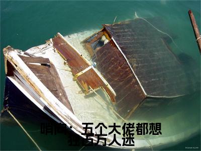 哨向：五个大佬都想独占万人迷全文免费阅读_（阮清越今昭免费阅读无弹窗）阮清越今昭最新章节列表笔趣阁