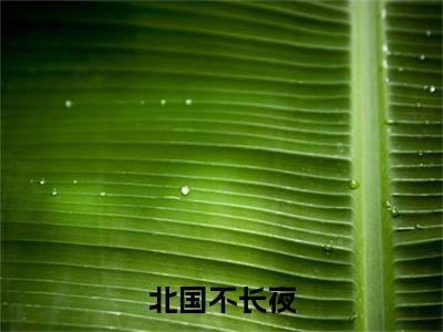 北国不长夜小说章节目录+章节前文（祝颂晚左湛）TXT清爽版在线