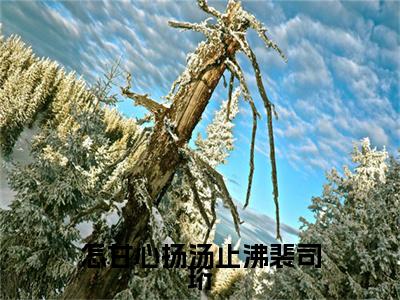 （唐念慈裴司珩）唐念慈裴司珩小说(怎甘心扬汤止沸裴司珩)整书在线无广告高口碑小说