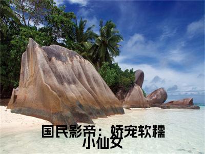 国民影帝：娇宠软糯小仙女续集（林阮傅煜辰）章节在线阅读最近章节