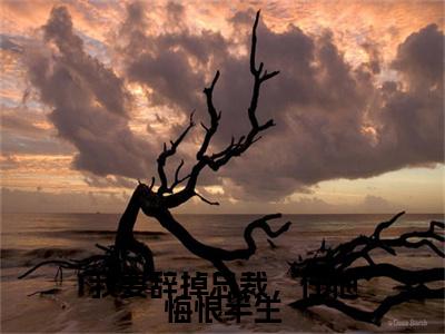 程枫夏薇我要辞掉总裁，任他悔恨半生彩蛋+起始篇章（我要辞掉总裁，任他悔恨半生）阅读
