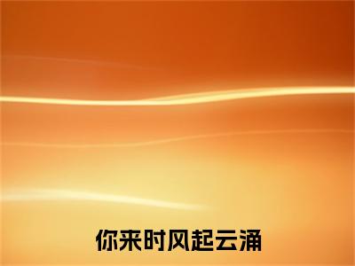 林绾严盛宇：结局+番外精编之作（你来时风起云涌）完整章节列表_笔趣阁