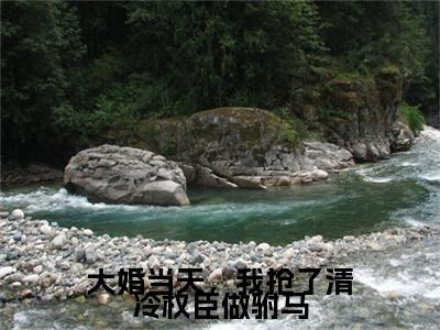凤鸢江遇（大婚当天，我抢了清冷权臣做驸马）前文+全本完整阅读预售作品抢先看