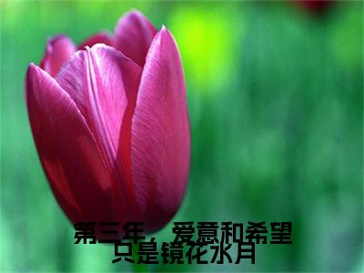 畅读精品正版（第三年，爱意和希望只是镜花水月）慕祁云凌耀深：+后续全本完整+后续+结局在线阅读