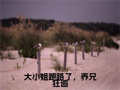 傅临州祁婉棠小说(大小姐跑路了，养兄狂追)小说结尾+隐藏篇章（傅临州祁婉棠大小姐跑路了，养兄狂追）畅享阅读