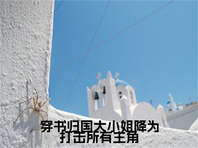 唐城孟怀君续集(穿书归国大小姐降为打击所有主角)全本完整免费版_起点章节+后续（唐城孟怀君）