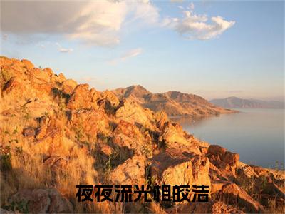 （头条）林斐慕斯年小说(夜夜流光相皎洁)整本免费版阅读无广告（林斐慕斯年）