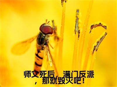 全网首发张玄灵：+后续+番外（师父死后，满门反派，那就毁灭吧！）全本完整阅读无弹窗