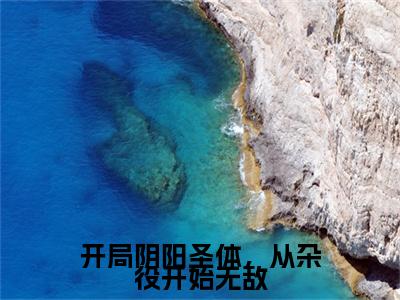 开局阴阳圣体，从杂役开始无敌小说（林不浪）全文免费阅读无弹窗_开局阴阳圣体，从杂役开始无敌小说全文免费阅读）林不浪+后续评价五颗星