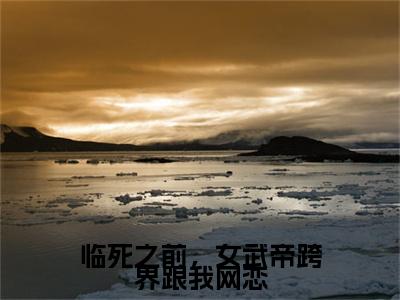 林凡完结篇全篇阅读无广告（临死之前，女武帝跨界跟我网恋）番外+续集