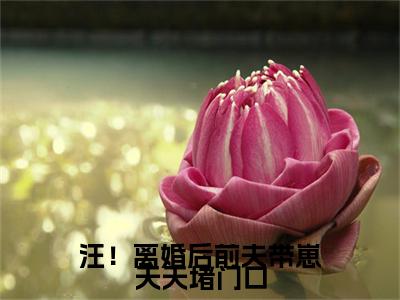 （汪！离婚后前夫带崽天天堵门口）萧嫣秦晏礼延伸在线下载无广告章节清单