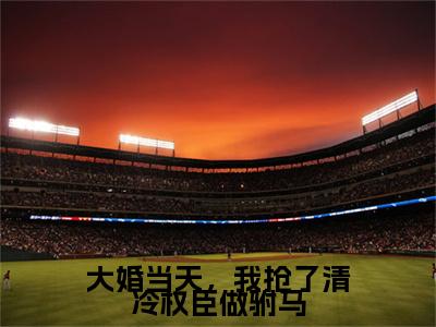 大婚当天，我抢了清冷权臣做驸马小说(凤鸢江遇)最近更新（大婚当天，我抢了清冷权臣做驸马）整本无套路阅读