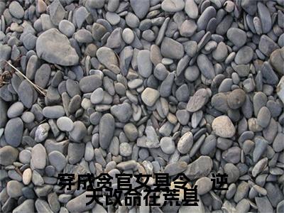 穿成贪官女县令，逆天改命在荒县宋锦书彩蛋（宋锦书）全书在线下载阅读完美终章小说大结局