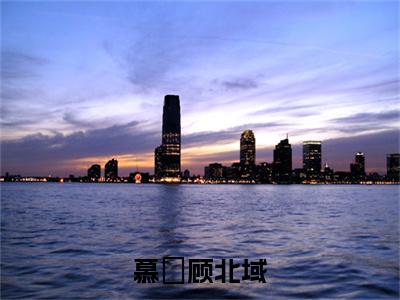 顾北域慕嬨(慕嬨顾北域)章节目录+起点章节（顾北域慕嬨）全篇清爽版在线