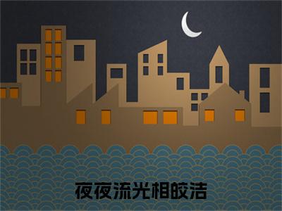 （夜夜流光相皎洁）夜夜流光相皎洁小说(林斐慕斯年)无套路无弹窗全部章节列表