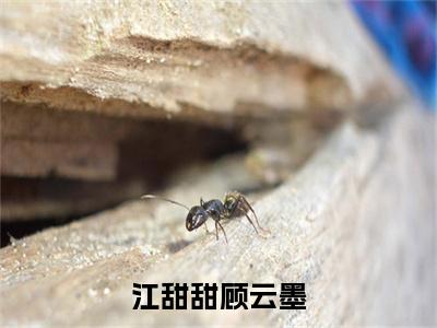 顾云墨江甜甜（江甜甜顾云墨）后续+番外精编之作_顾云墨江甜甜（江甜甜顾云墨）免费在线阅读无删减_笔趣阁
