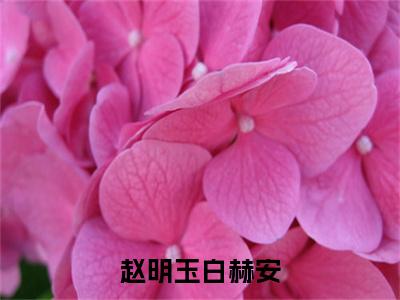 赵明玉白赫安小说(白赫安赵明玉)外篇+结局（赵明玉白赫安）全篇在线阅读