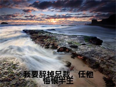 我要辞掉总裁，任他悔恨半生续集(我要辞掉总裁，任他悔恨半生)终极反转（程枫夏薇）全篇一口气阅读