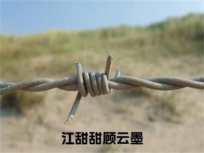 江甜甜顾云墨小说(顾云墨江甜甜)最近更新（江甜甜顾云墨）整本无套路阅读