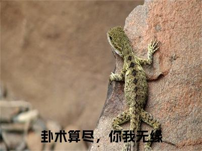 新章速递澹台玄熠羽棠是什么小说(卦术算尽，你我无缘)完本阅读无广告（澹台玄熠羽棠）