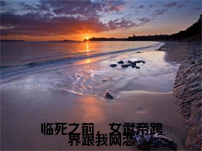 临死之前，女武帝跨界跟我网恋小说完整在线阅读（林凡）前传列表