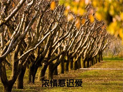 秦骆尧顾念晚小说(浓情惹迟爱)全本完整阅读最新章节（秦骆尧顾念晚）_笔趣阁