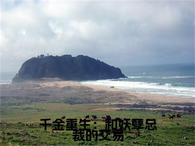 千金重生：和妖孽总裁的交易小说(钟离天林婉然)小说全集阅读连载中（千金重生：和妖孽总裁的交易）_笔趣阁