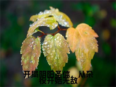 林不浪开局阴阳圣体，从杂役开始无敌彩蛋小说结尾+附加（开局阴阳圣体，从杂役开始无敌）清爽版阅读