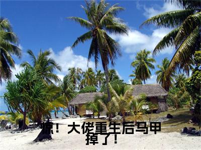 惊！大佬重生后马甲掉了！（慕若茵）全文免费阅读无弹窗_（慕若茵小说全文免费阅读）惊！大佬重生后马甲掉了！+后续评价五颗星