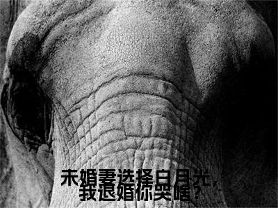 未婚妻选择白月光，我退婚你哭啥？后续（江澈）全篇在线阅读前传