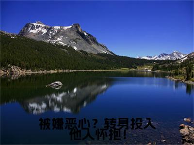 小说被嫌恶心？转身投入他人怀抱！(被嫌恶心？转身投入他人怀抱！)已更新+无删减（许星梨谢序尧）