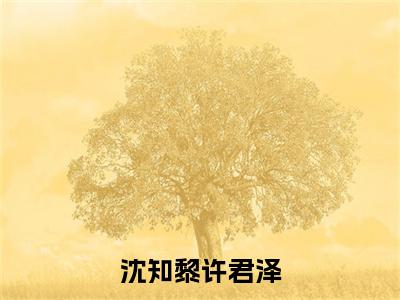 热文推荐许君泽沈知黎小说（沈知黎许君泽）前传列表
