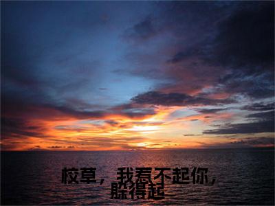 小说校草，我惹不起你，躲得起小说已更新+番外篇章（夏末末林志旭）纯净阅读