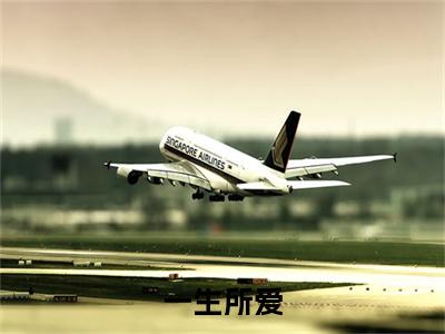（沈云微秦砚修）一生所爱沈云微秦砚修后续一口气无广告全书章节表