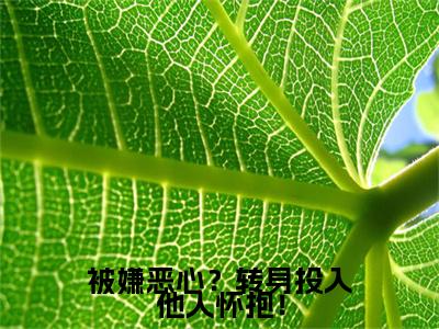 被嫌恶心？转身投入他人怀抱！小说(许星梨谢序尧)（被嫌恶心？转身投入他人怀抱！）在线畅读阅读连载中