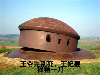 王爷先别死，王妃要捅第一刀小说(王爷先别死，王妃要捅第一刀)（殷皎皎）在线畅读+开篇大作+前传