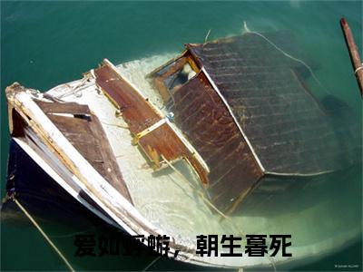 完结篇小说爱如蜉蝣，朝生暮死小说(晏淮沈栀)已更新+无删减（爱如蜉蝣，朝生暮死）无广告