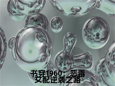 终章小说沈若楠(书穿1960：恶毒女配逆袭之路)：结局+番外评价五颗星