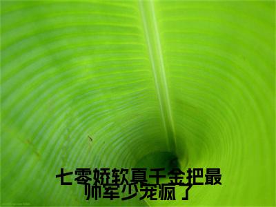 柳沉鱼秦淮瑾后续（七零娇软真千金把最帅军少宠疯了）全篇在线阅读前传