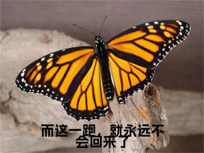 而这一跑，就永远不会回来了小说(唐栖雾靳沉野)章节目录+起始篇章（而这一跑，就永远不会回来了）全章无套路在线