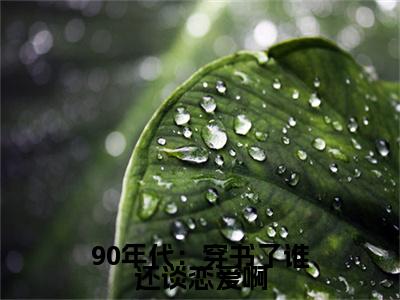 （90年代：穿书了谁还谈恋爱啊）林听最终篇章(林听)全书在线无广告高口碑小说