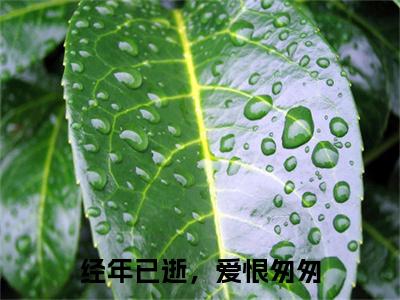 经年已逝，爱恨匆匆：结局+番外精品选集（阮见夏谢执野）番外+续集
