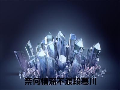 （奈何情深不渡段寒川）奈何情深不渡段寒川小说(顾南枝段寒川)无套路无弹窗全部章节列表