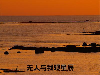 郁子琛沈黎依：无人与我观星辰结局+番外精编之作完整章节列表_笔趣阁
